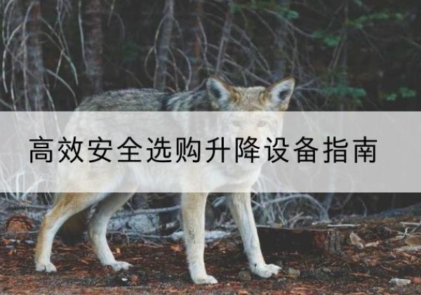 全州升降货梯厂家推荐-*安全选购升降设备指南