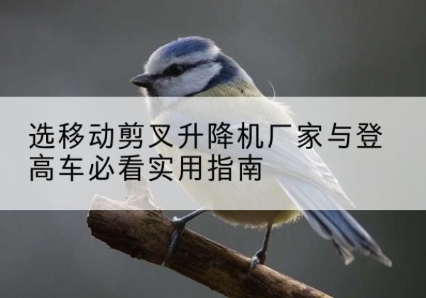 全州电动升降机厂家-选移动剪叉升降机厂家与登高车必看实用指南