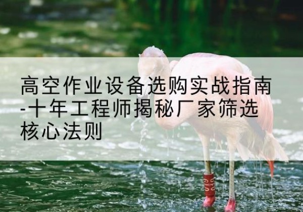 全州剪叉式升降机厂家-高空作业设备选购实战指南-十年工程师揭秘厂家筛选核心法则